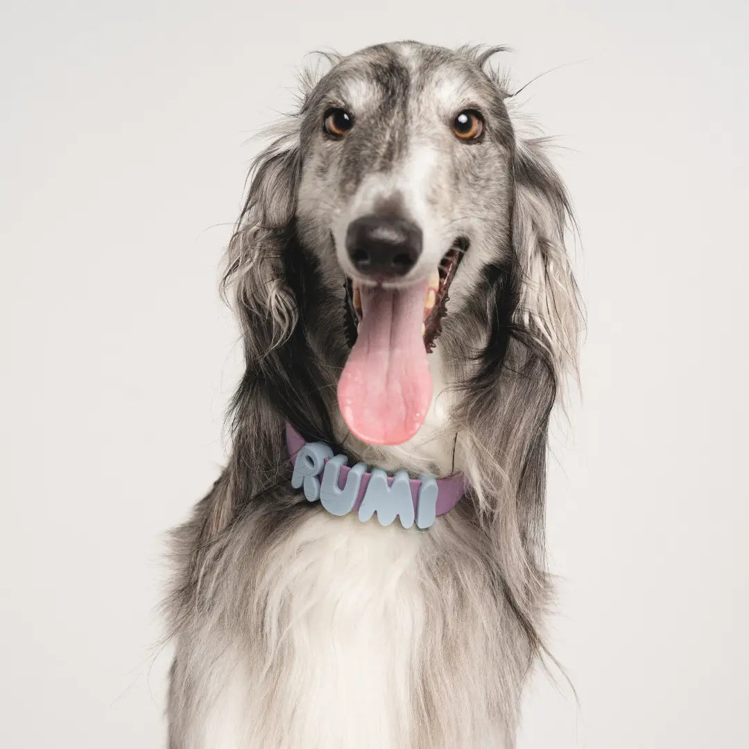 Silicone Dog Charms | Letters & Symbols for Personalized Dog Collars and Leashes - Sky Blue